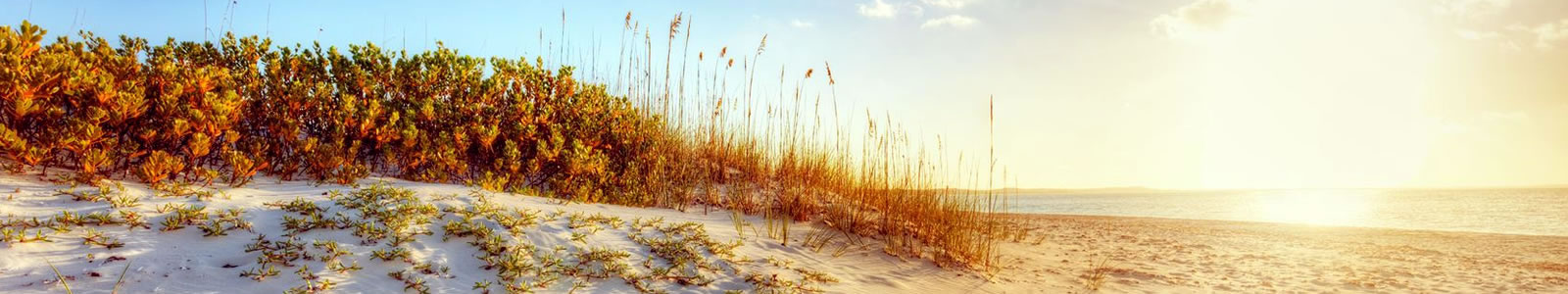 stripe-dune.jpg